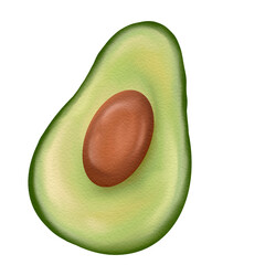 Watercolor illustration of avocado with seed, tropical fruit, digital food element for healthy lifestyle. Fresh green half of avocado with big brown stone. Design for food, cafe, kitchen, fabric.