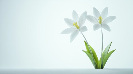 3D two spring flowers on white background. Wild flowers, spring grass seamless pattern 3d realistic. Minimal scene for model products, stage showcase, promotion display.