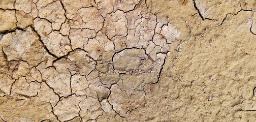 The ground has cracks in the top view for the background