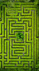 Aerial view of the park maze
