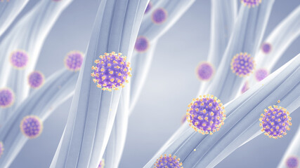 Viruses captured by HEPA filter. The fibers can also trap other airborne contaminants such as bacteria, mold, pollen and dust. Air purification technology