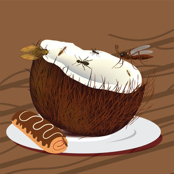 delicious Coconut pest