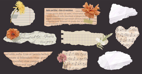 Set of rip newspaper and pad paper piece with flowers in realistic collage style  on dark background © Yulia Zelinskaya