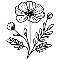 Line drawing of various flowers vector, clipart, transparent, png, element