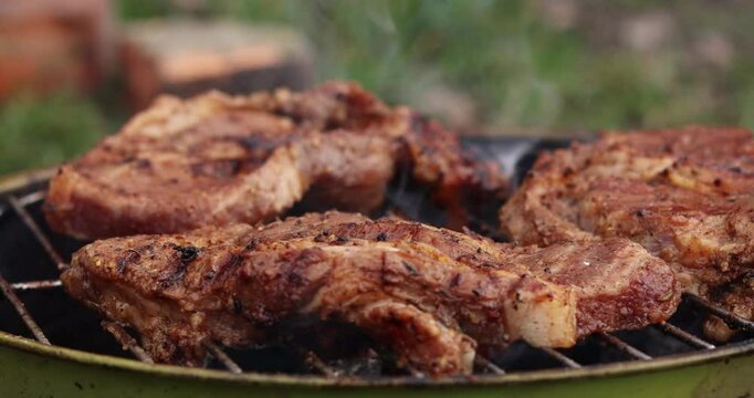 Beef steak on fire coals on iron grill in flame of smoke. Barbecue pork steak meat on grill. Roasting beef steak in burning charcoals fire on bbq grill. Beef steak grilling. Barbecue meat grill.
