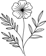 Line drawing of various flowers vector, clipart, transparent, png, element