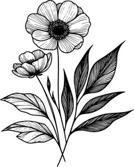 Line drawing of various flowers vector, clipart, transparent, png, element