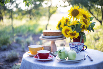 garden and still life