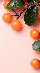 Orange fruits with leaves on a pink background