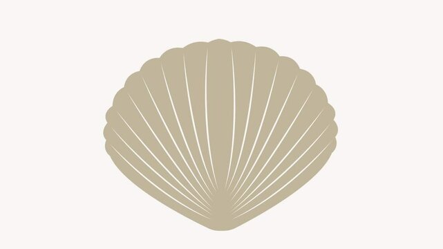 shell icon animation illustration flat
