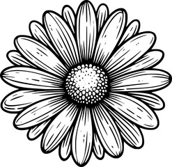 Line drawing of various flowers vector, clipart, transparent, png, element