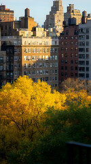 Naklejka premium Golden autumn tree in city park, urban buildings background, fall cityscape view, ideal for travel brochures