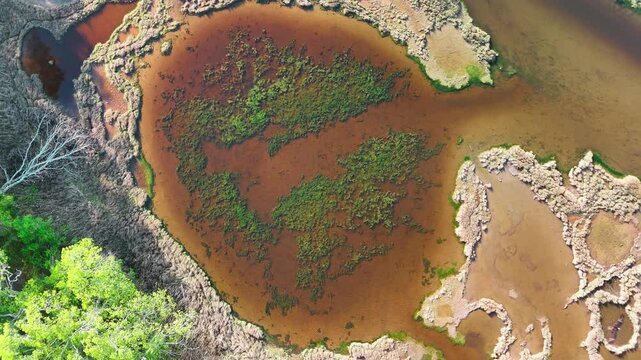 Aerial view of a winding marshland with shallow brown water, green vegetation, dry reeds, and birds flying above. A calm, untouched wetland displaying natural textures and organic patterns throughout.