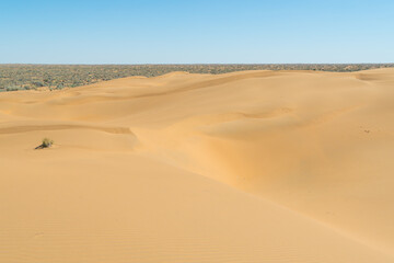 Golden Kyzylkum dunes under a clear blue sky