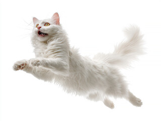Obraz premium A jumping cat with white fur and dark stripes, open mouth, and alert or surprised eyes, against a plain background in even lighting - AI-Generated