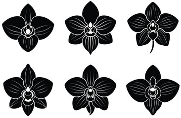 Black and white butterflies and flowers create a beautiful, decorative nature set with a spring floral design