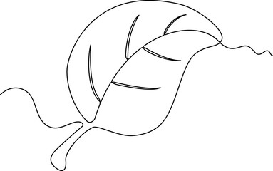 one line art Leaf vector illustration. line art, one continuous line, simple, hand drawn and sketch style. for icons, symbols, signs or logos. PNG