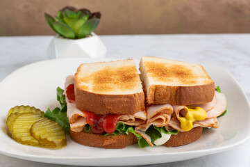 turkey sandwich with pickles