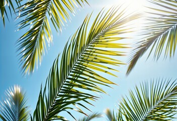 Naklejka premium Palm leaves on a bright sunny day.