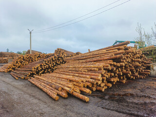 A stack of prepared coniferous timber.