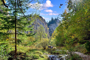 Hiking through the Homole george in Pieniny mountains, a little creek leading through a gorge canyon at a  morning time in autumn.