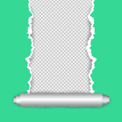 Torn Paper Background Template Design