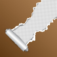 Torn Paper Background Template Design
