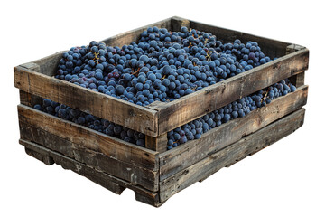 Ripe Dark Grapes on Wooden Crate Varient 5