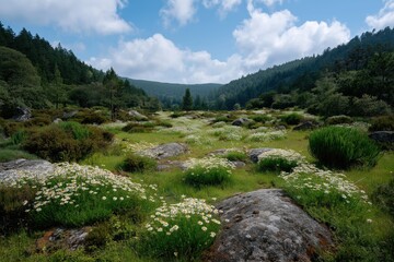 A field of wildflowers with a few trees in the background. The sky is clear and the sun is shining