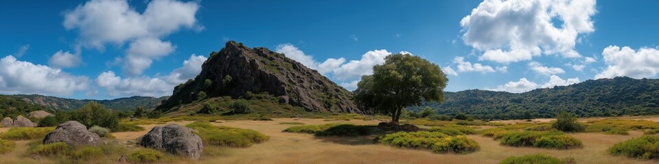 Fototapeta premium A large rock formation is in the background of a field with a tree in the foreground. The sky is mostly clear with a few clouds scattered throughout. The scene is peaceful and serene