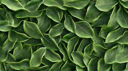 Fototapeta premium Digital illustration of dense, overlapping green leaves with subtle white veins, creating a textured pattern.