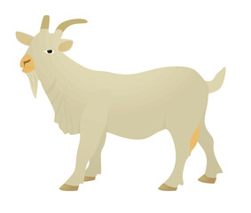 White goat isolated. vector illustration