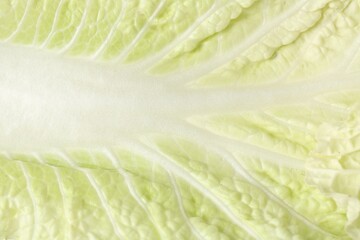 Leaf of fresh Chinese cabbage as background, top view