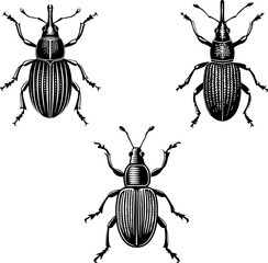 Jute Stem Weevil Silhouette Icon Vector | Insect Pest Clipart for Agriculture & Farming Design