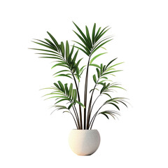 Fototapeta premium Tropical plant in white pot