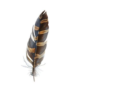 Single Brown and Gray Striped Feather on Textured Background Varient 4