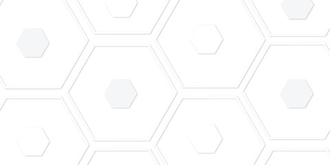 modern backdrop featuring a geometric pattern of gray and whit outlined hexagons on a white background, creating a minimalist and abstract design with a subtle texture.