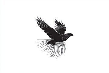 Fototapeta premium Elegant black bird soars with feathered tail, minimalist, white background