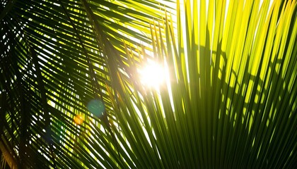 Fototapeta premium Sunlight dapples vibrant green palm leaves, creating a tropical backdrop, element, sunlight through leaves
