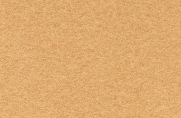 cream fleece fabric