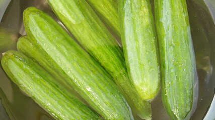 Cucumbers are washed and soaked in water, likely in preparation for pickling or other culinary uses.