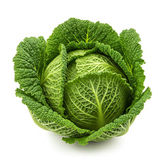 Fresh Chinese cabbage, tightly packed leaves, isolated on a clean white background, studio lighting