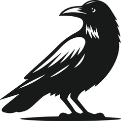 Bird vector silhouette of a crow