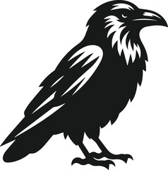 Bird vector silhouette of a crow