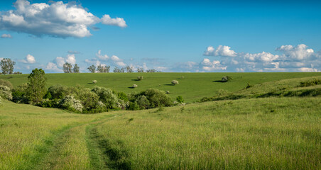 landscape with green field and blue sky