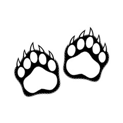 Bear paw print 