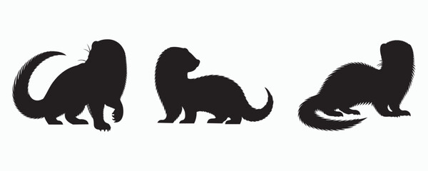 Silhouettes of three ferret poses in black, highlighting distinct stances and body shapes on a white background.