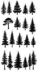 Fototapeta premium Evergreen Elegance AI Generated