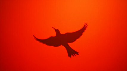 Obraz premium Bird shadow flying over endless red earth, minimalist aerial view with stark silhouette contrast.