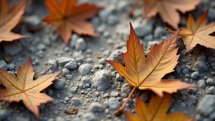 Light gray earth covered with detailed brown dry leaves, showing texture contrast between soil and organic matter in sharp focus.